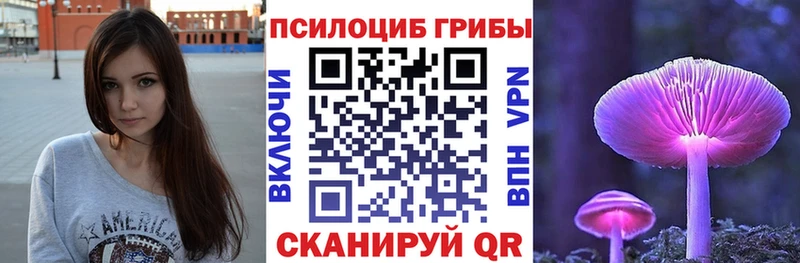 дарнет шоп  Боровичи  Галлюциногенные грибы MAGIC MUSHROOMS 