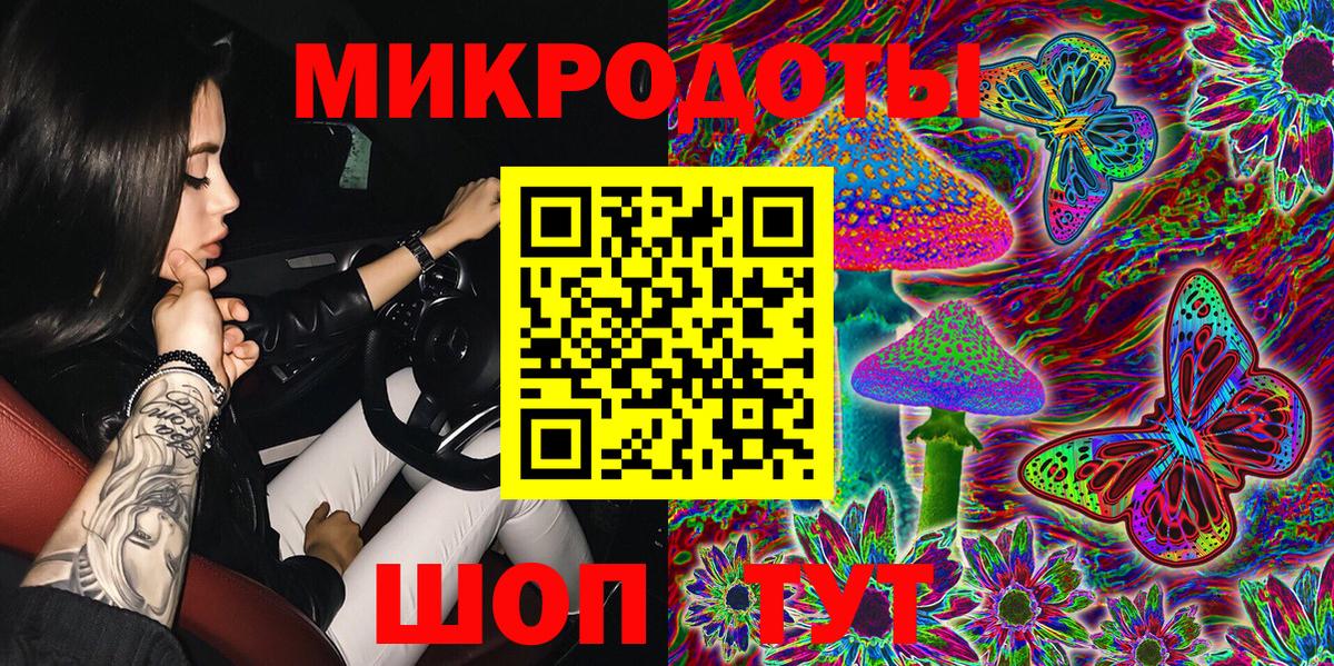 Псилоцибиновые грибы Cubensis Боровичи