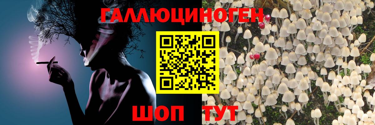 Галлюциногенные грибы MAGIC MUSHROOMS Боровичи